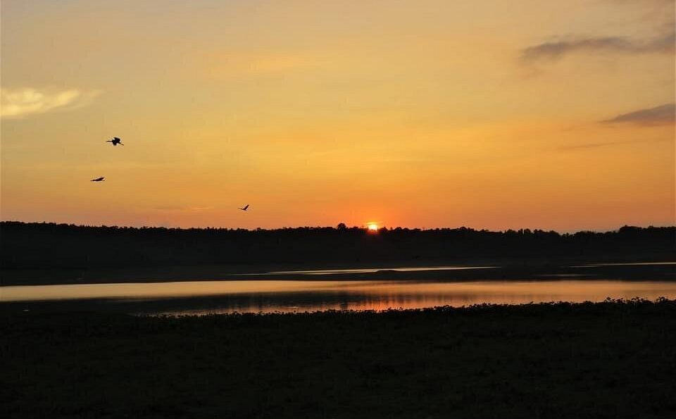 harangi backwaters